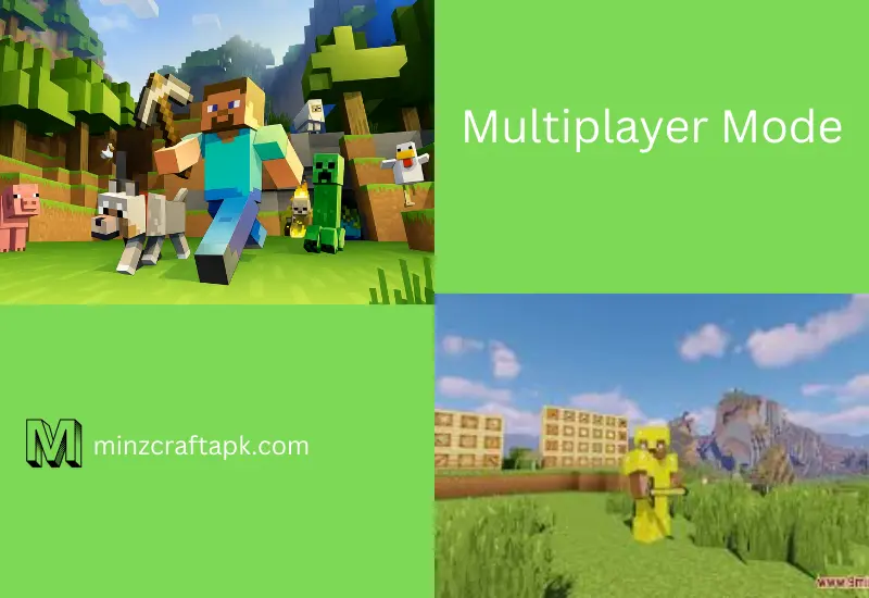 Multiplayer mode
